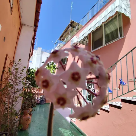 Apartament Casa Pesce Per 6 Persone